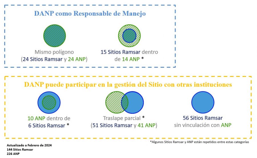 Roles de las Direcciones de ANP (DANP) en los 80 Sitios Ramsar relacionados con 84 ANP Federales